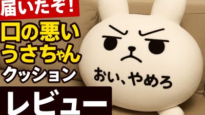 ついに届いた！LINEスタンプで有名な「口の悪いうさちゃん」のクッションをレビュー！！